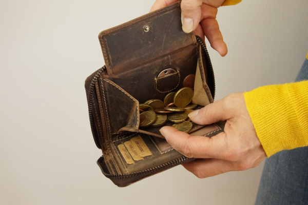 Damenbörse mit umlaufenden Reißverschluss Vintage Lilianen-Muster in Echt-Leder, cognac